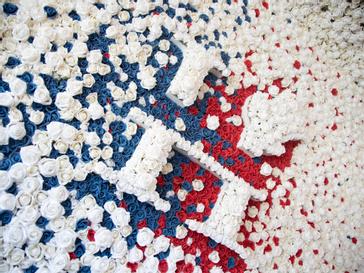 HYDE Hotel | Galway | flower wall in HYDE bar Galway