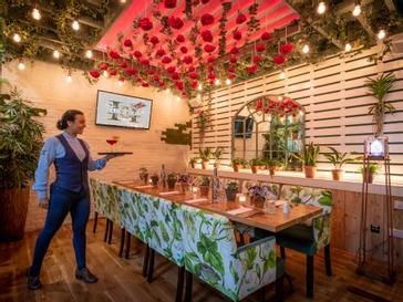 HYDE Hotel | Galway | Greenhouse with flowers hanging from the ceiling in HYDE bar
